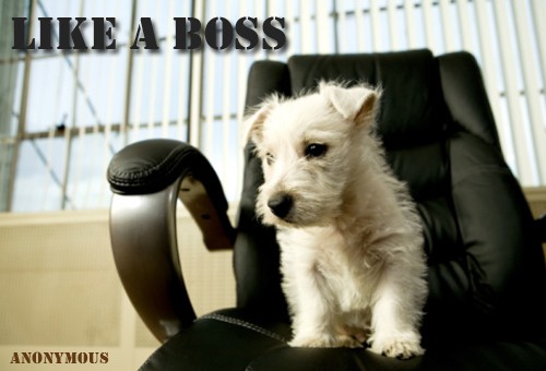 Quote of the Day - Look Who's Boss
