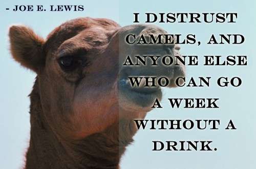 Quote of the Day - Camels Don't Drink For A Week