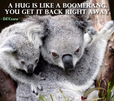 Who Needs A Hug? - Website Design Flower Mound Logo Designer Dallas Web ...